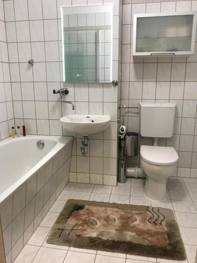 Zentrumsnahe Leipzig-Apartments, Nahe Ufz Und Bmw Inkl Parkplatz Und Fahrraeder Exterior foto