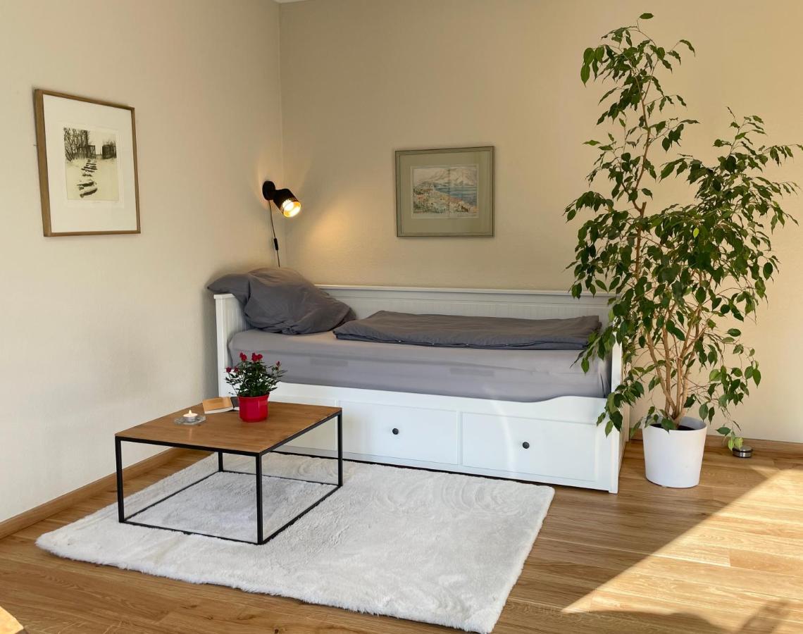 Zentrumsnahe Leipzig-Apartments, Nahe Ufz Und Bmw Inkl Parkplatz Und Fahrraeder Exterior foto